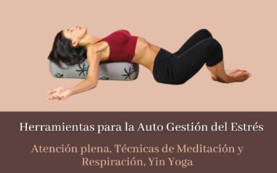 HERRAMIENTAS PARA LA AUTO GESTION DEL ESTRES
